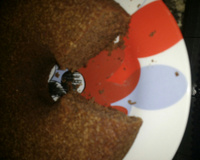 Bolo de chocolate com canela