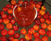 Geleia de Pimenta Biquinho