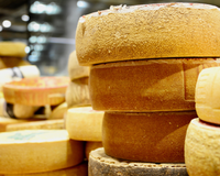 Nem muçarela, nem prato: o TudoGostoso revela o queijo amarelo que possui pouco sódio e muitas proteínas