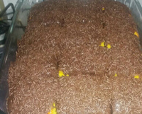 Bolo de cenoura com cobertura de caramelo