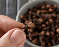 Esses são os motivos para você mastigar cravos-da-Índia diariamente, os benefícios são maiores do que você imagina!