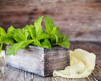 5 benefícios do consumo de hortelã