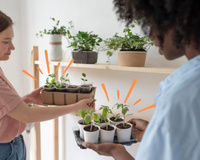 Vegetais e temperos fresquinhos: tudo que você precisa saber para ter uma horta no seu apartamento