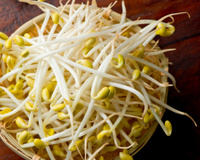 Por que você deve incluir broto de feijão nas refeições: descubra benefícios