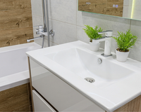 Japoneses evitam spray no banheiro: o truque natural com plantas que elimina odores