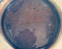 Bolo de chocolate e calda de chocolate