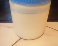 Iogurte natural caseiro