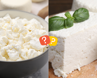Creme de ricota, requeijão light ou queijo cottage? Veja as diferenças e saiba qual é a melhor opção para o dia a dia