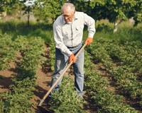 Aos 100 anos, ele ainda cultiva os próprios alimentos e guarda hábitos simples que podem explicar sua longevidade: conheça a história de Carabín