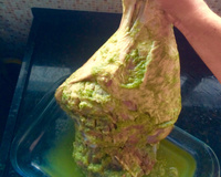 Pernil suíno inteiro (no forno convencional)