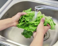 Higienizar legumes e verduras antes de armazenar faz com que eles estraguem mais rápido?