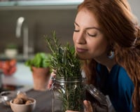 A erva sagrada que vale ouro: reduz o estresse, ajuda no crescimento dos cabelos, melhora a digestão e alivia dores musculares