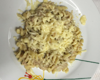 Penne ao molho de iogurte e atum