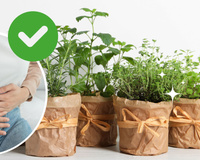 Essa erva aromática que você tem em casa é mágica contra o inchaço (quase ninguém sabe!)