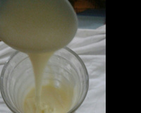 Leite condesado caseiro