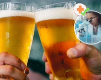 Cerveja fonte de nutrientes: veja o que novo estudo afirma sobre benefícios da bebida alcoólica