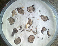 Torta de sonho de valsa