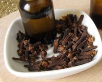 Basta um punhado em um pratinho para proteger a casa inteira contra mosquitos: agora durmo tranquilo e com a janela aberta