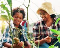 Por que seu filho deveria cultivar plantas? A psicologia explica (e os benefícios são surpreendentes!)