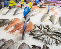 Dois tipos de peixe, ricos em ômega-3, como o salmão, repletos de benefícios a um preço acessível