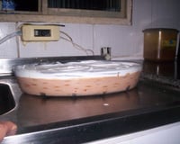 Torta de bolacha simples