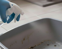 O que significa quando recomendam colocar vinagre na caixa de areia do gato? A explicação que quase ninguém sabe