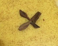 Canjica/curau legítimo