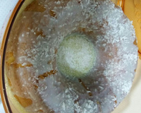 Bolo de laranja de liquidificador