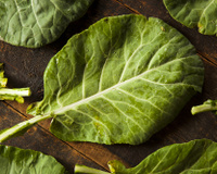 Como fazer para a couve não amargar: confira as dicas