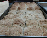 Pão de malte (mosto)