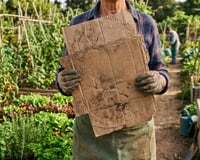 Chega de pragas na horta: o truque do papelão que aprendi com um vizinho transformou minhas plantas