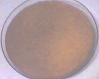 Bolo de fubá, linhaça, queijo e canela