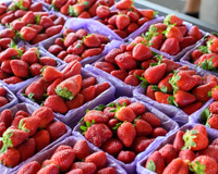 Nova regra do morango já está valendo e muda o consumo no Brasil: veja o que mudou