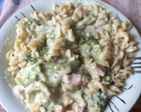 Macarrão com brócolis e creme branco