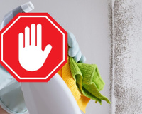 Não passe pano na parede mofada sem antes ler isso, você pode colocar a sua vida em risco!