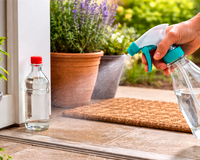 Proteção simples para manter sua casa mais segura contra essa praga: borrife esse ingrediente na entrada