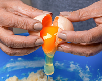 Christophe Mercier-Thellier, especialista em higiene: é essencial tomar esta medida na cozinha para evitar a proliferação de bactérias pelas nossas mãos