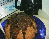 Bolo de caneca de chocolate com calda - light