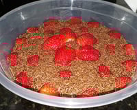 Doce tentação rápido e fácil