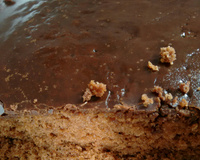 Bolo de chocolate 1 real