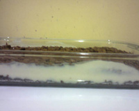 Torta de waffer, coco e chocolate ao leite