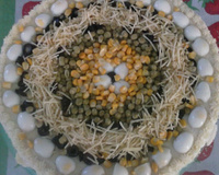 Torta salgada com pão de forma