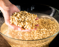 Por que colocamos os grãos de feijão de molho? Descubra benefícios!