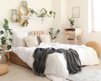 Seu quarto pode ficar mais agradável com estas 5 plantas: TudoGostoso explica como elas podem contribuir para o bem-estar