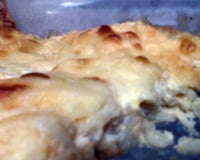 Macarrão ao molho branco e frango desfiado