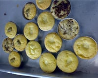 Sonhos de batata doce do Lúcio Cezar