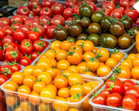 Mistério nas ilhas Galápagos: tomates estão passando por uma espécie de "evolução reversa"