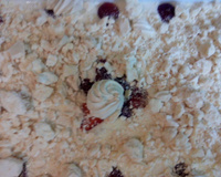 Pavê de morango facílimo