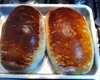 Pão caseiro simples