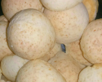 Pão de queijo com creme de leite